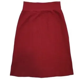 Pencil Skirts Red Skirt Short Pencil Skirts Elastic Pleated Skirt High  Waist Bodycon Mini